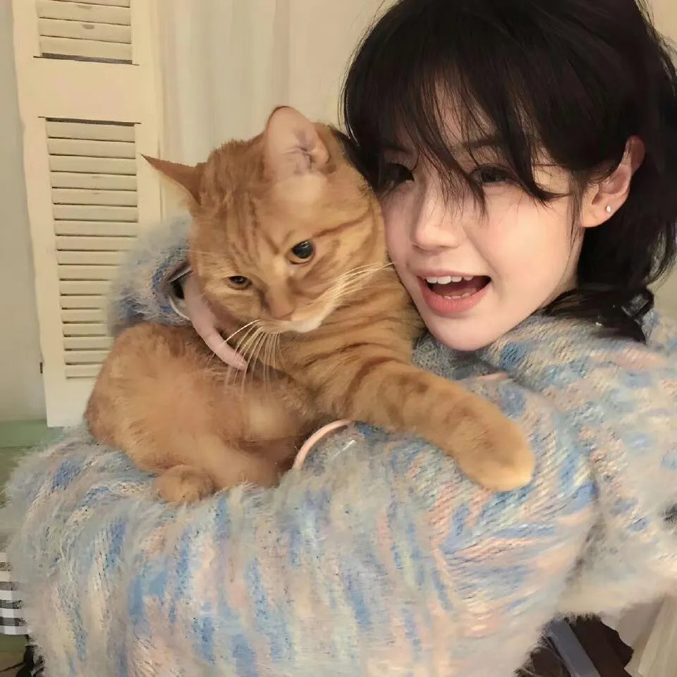从前，有个好莱坞